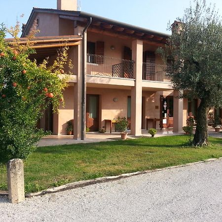 Agriturismo Morgan Montebelluna Kültér fotó