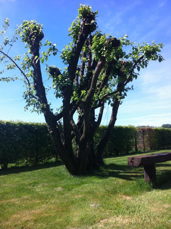 Agriturismo Morgan Montebelluna Kültér fotó