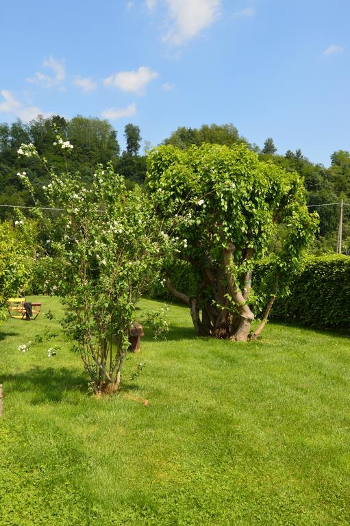Agriturismo Morgan Montebelluna Kültér fotó