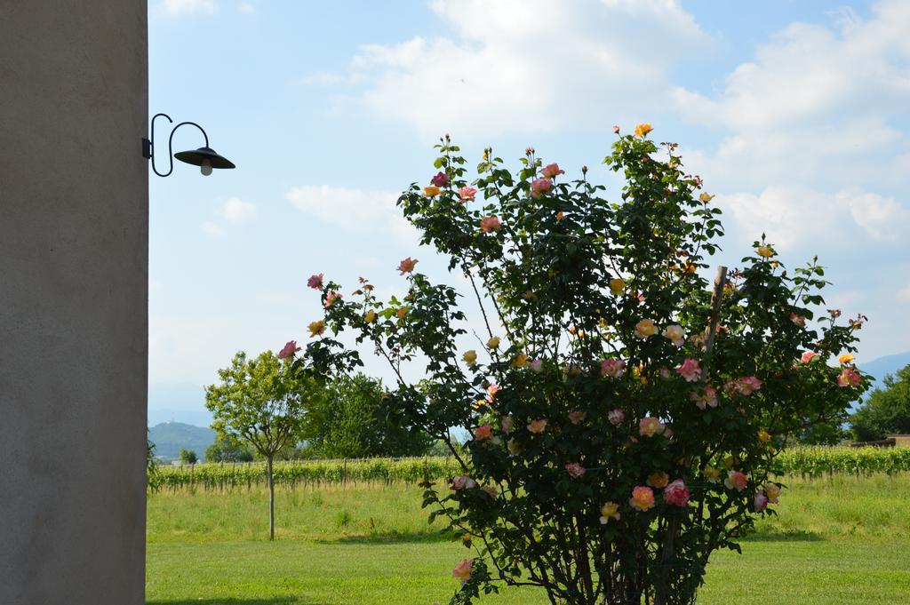 Agriturismo Morgan Montebelluna Kültér fotó