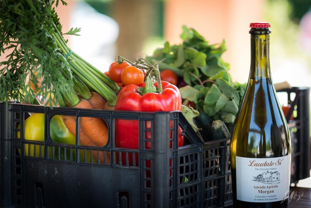 Agriturismo Morgan Montebelluna Kültér fotó